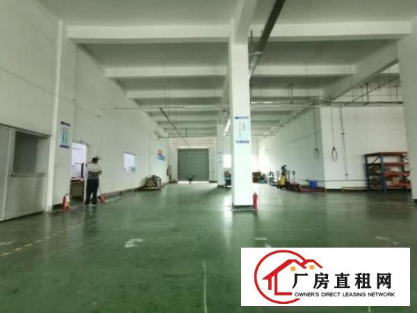  。。大空地！凤岗新出4900平方米重工业独院厂房招租。。