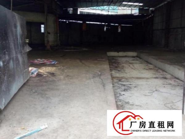  凤岗金凤凰独院铁皮房出租1500平高7米