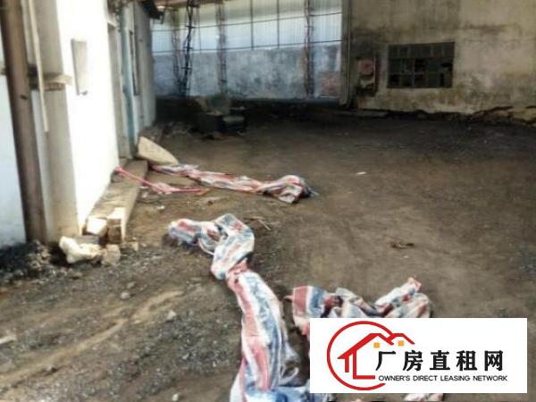  凤岗金凤凰独院铁皮房出租1500平高7米