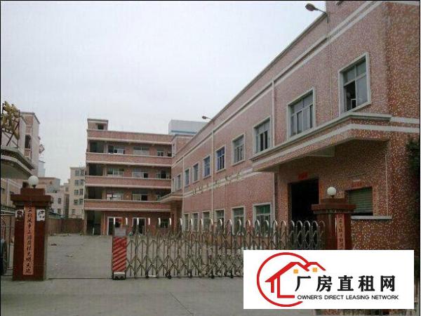  凤岗大量小型厂房招租500-1500左右都有