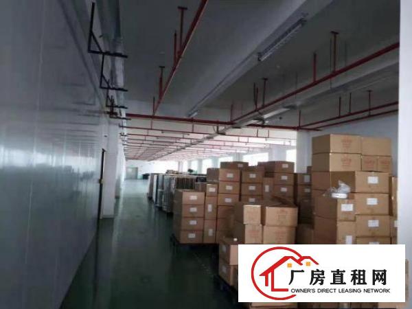  靠近深圳凤岗精装厂房出租楼上3300平配套齐全拎包入驻