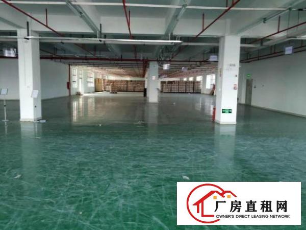  凤岗油甘埔出租原房东无公摊厂房楼上3600平方近沙岭车站