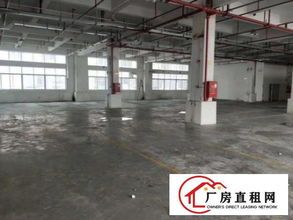 6米高标准一楼1500平米出租凤岗竹塘工业园现成水电办公