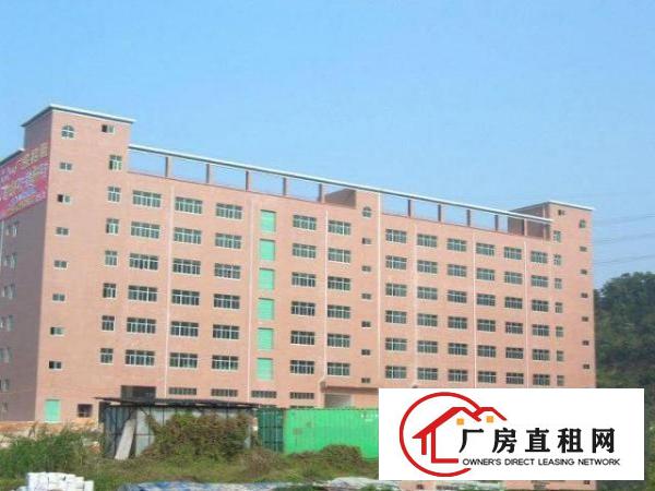  五联碧湖大道边上4楼、5楼各3000平米对外招租