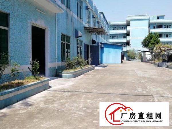  凤岗独院厂房出租800—3000大小分租，也可整租。