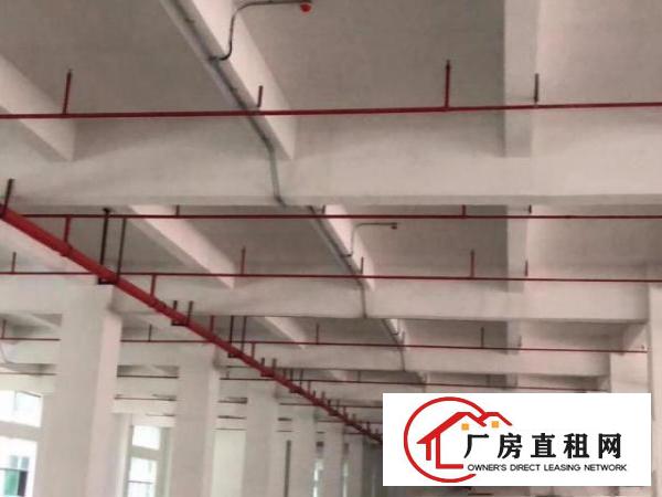  凤岗独院厂房出租800—3000大小分租，也可整租。