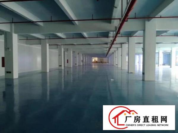  凤岗独院厂房出租800—3000大小分租，也可整租。