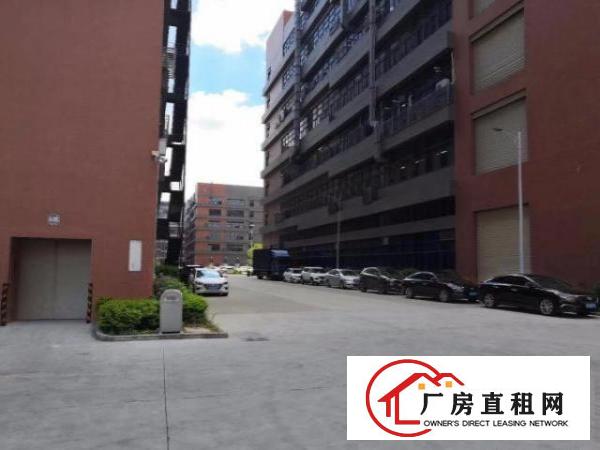  凤岗独院厂房出租800—3000大小分租，也可整租。