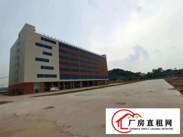  红本厂房单层5000平，一栋30000平，带卸货平台
