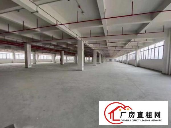  红本厂房单层5000平，一栋30000平，带卸货平台
