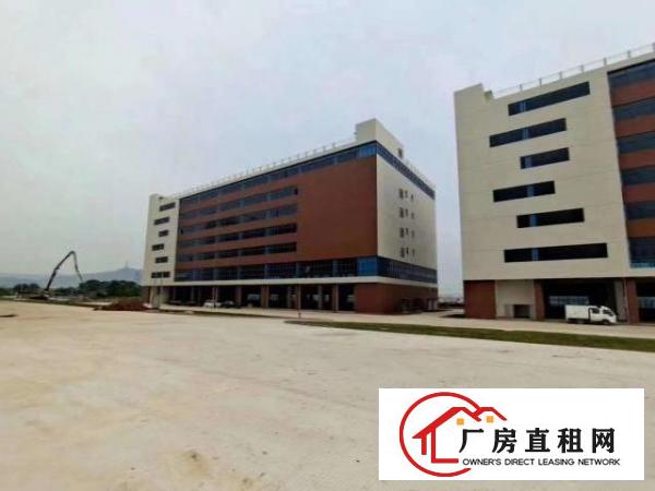  红本厂房单层5000平，一栋30000平，带卸货平台