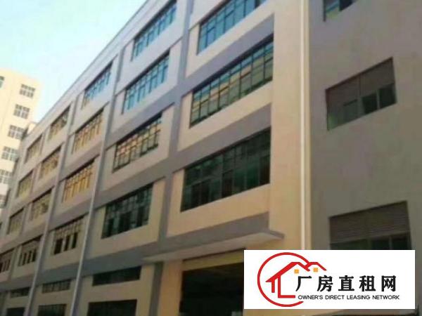  全新独院厂房可分层出租，可分栋出租，可整租。