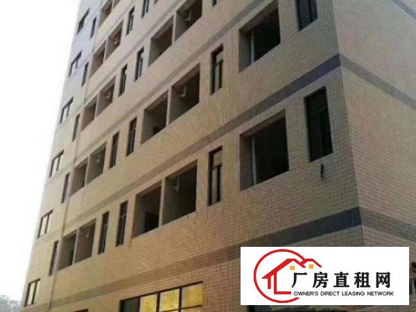  全新独院厂房可分层出租，可分栋出租，可整租。