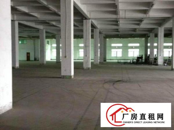  业主厂房直租,凤岗工业区500-1600平方任租