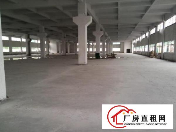  全新厂房，单层面积2000，形象，小可分1000