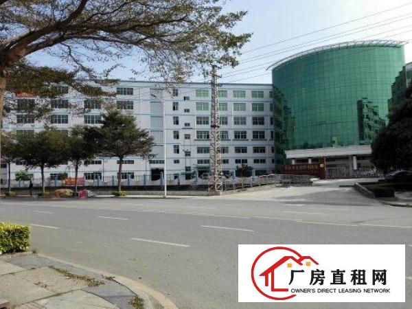  全新厂房，单层面积2000，形象，小可分1000