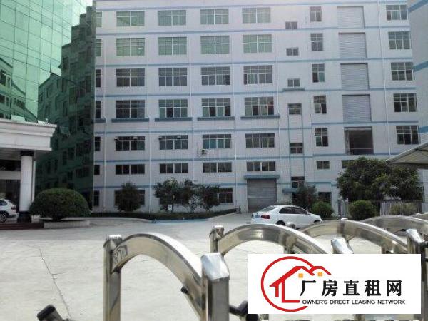  全新厂房，单层面积2000，形象，小可分1000