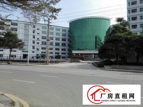  全新厂房，单层面积2000，形象，小可分1000
