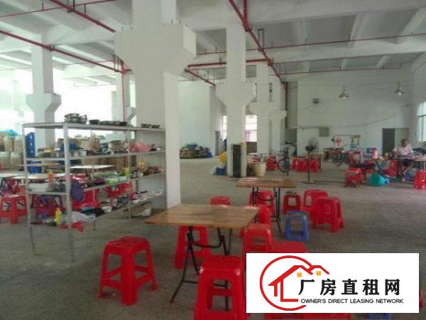  凤岗形象好标准厂房500-5000㎡