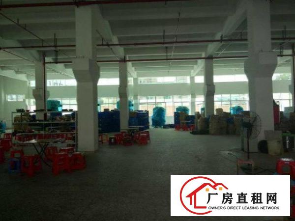  凤岗形象好标准厂房500-5000㎡