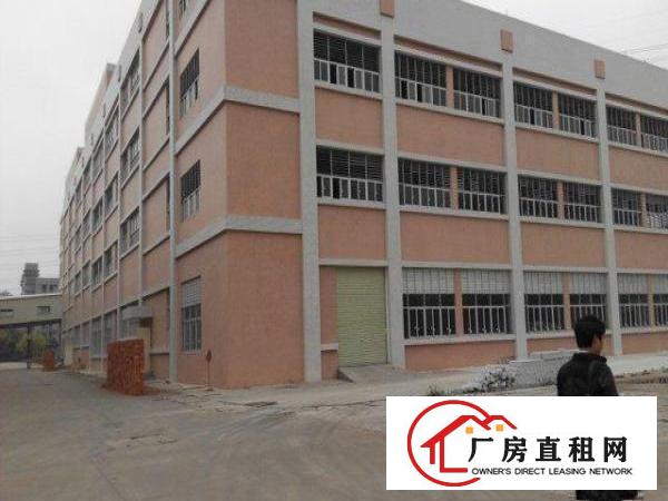  16500m²独栋厂房出租可分租
