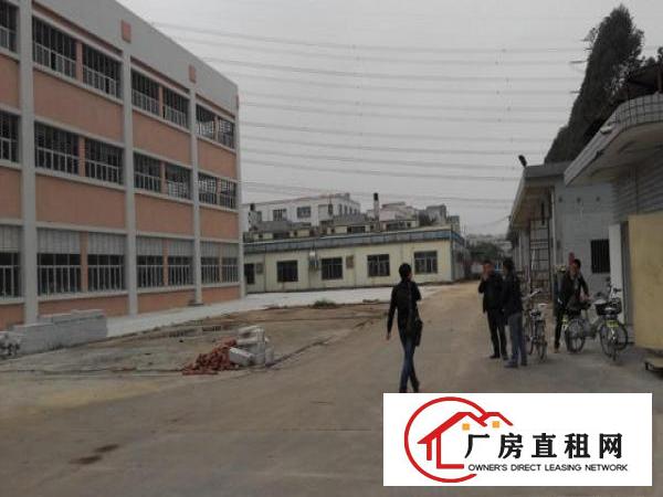  16500m²独栋厂房出租可分租