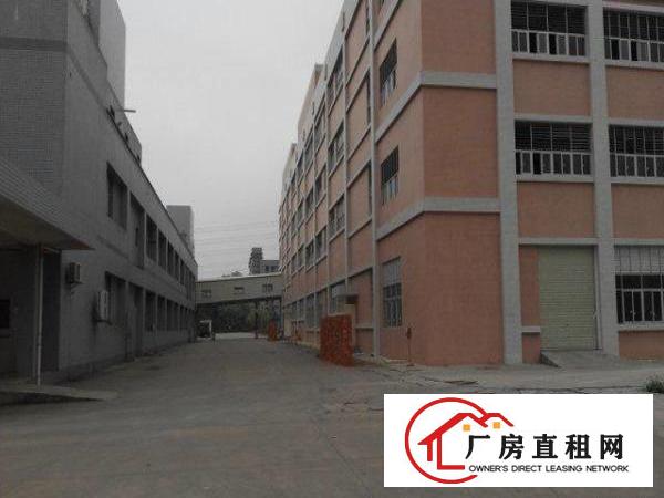  16500m²独栋厂房出租可分租