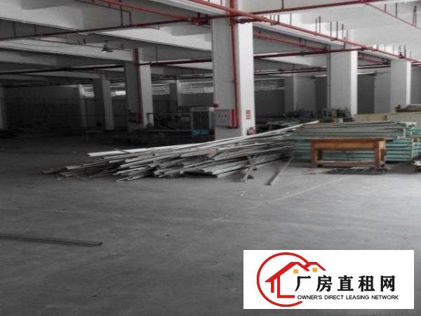  16500m²独栋厂房出租可分租