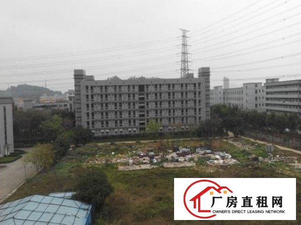  16500m²独栋厂房出租可分租