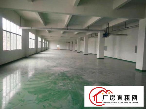  凤岗金凤凰大型工业园厂房分租
