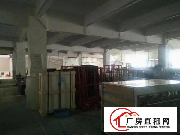  凤岗金凤凰大型工业园厂房分租