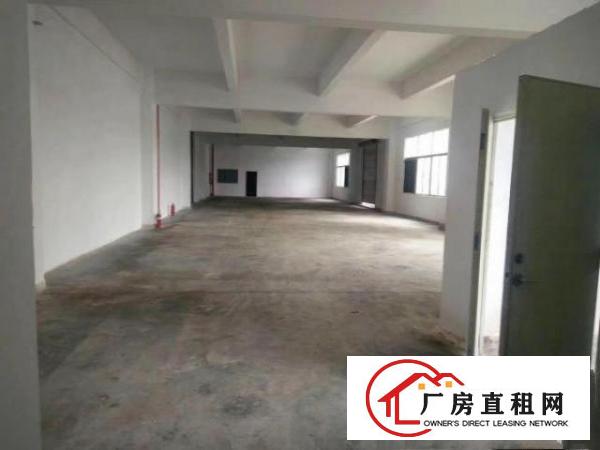  凤岗金凤凰大型工业园厂房分租