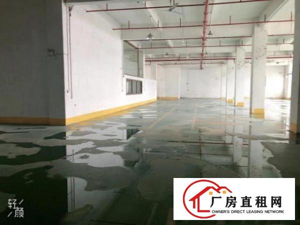  原房东一楼1700平出租