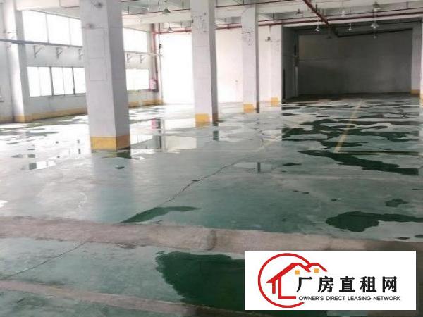  原房东一楼1700平出租