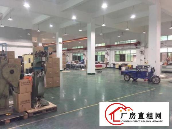  原房东一楼1100平出租