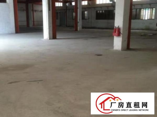  凤岗东深公路旁独门独院8800平米厂房全面分租