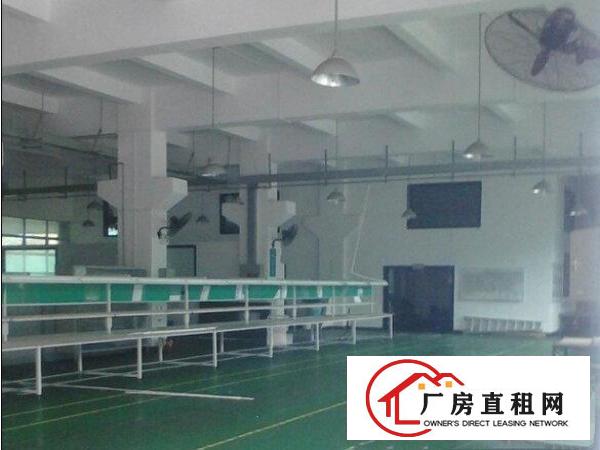  凤岗精装修标准厂房500-6500㎡招租