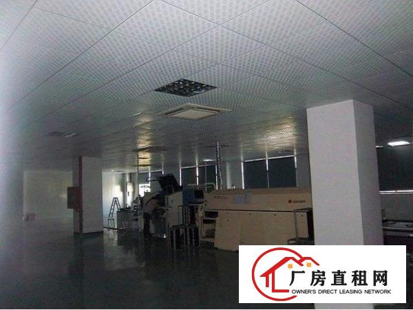  凤岗精装修标准厂房500-6500㎡招租