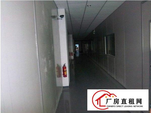  凤岗精装修标准厂房500-6500㎡招租