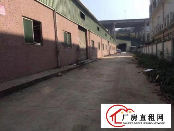  凤岗金凤凰独院单一层钢构厂房出租3300平方可分租