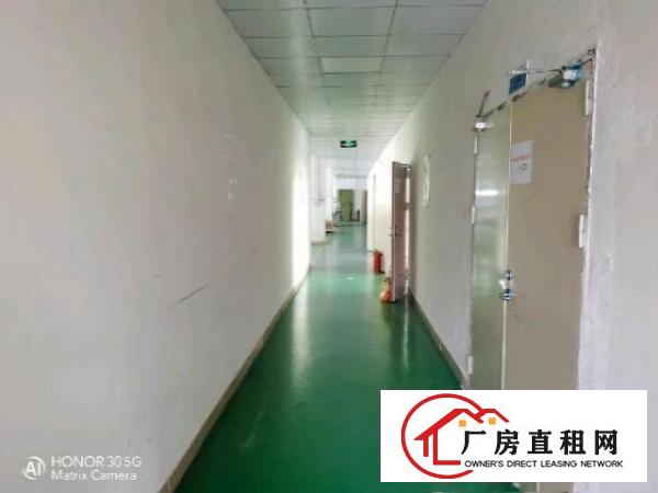  原房东带装修楼上1200平