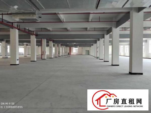  凤岗原房东独院12000平标准四层厂房出租证件齐全