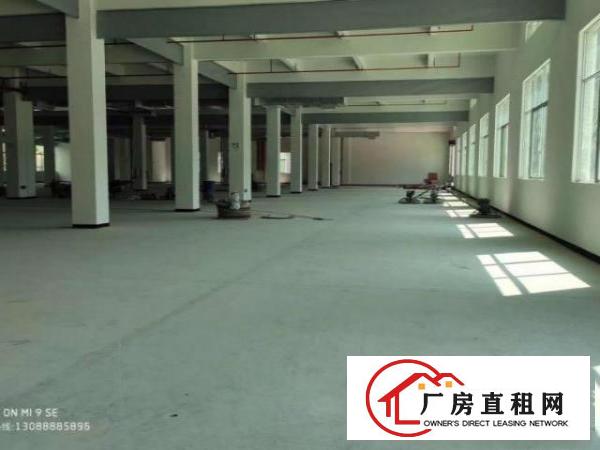  凤岗原房东独院12000平标准四层厂房出租证件齐全