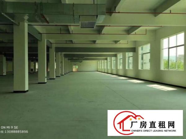  凤岗原房东独院12000平标准四层厂房出租证件齐全