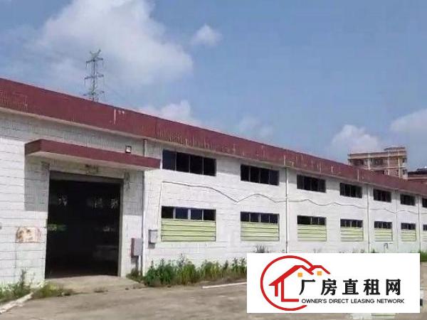  凤岗砖墙到顶7米高钢构仓库厂房出租3000平米价格便宜
