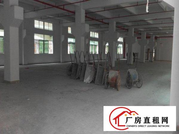  凤岗8400m²独栋全新厂房出租！刚完工可整租可分租