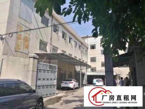  凤岗碧湖大道350平方小厂房出租