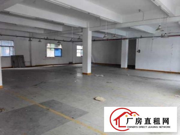  凤岗竹塘村委二楼800平米厂房出租