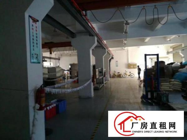  凤岗雁田布心一楼厂房出租1000平带牛角行车