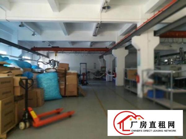  凤岗雁田布心一楼厂房出租1000平带牛角行车